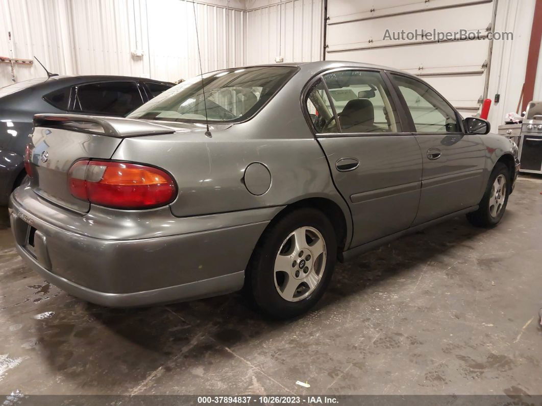 2005 Chevrolet Classic   Gray vin: 1G1ND52F55M222812