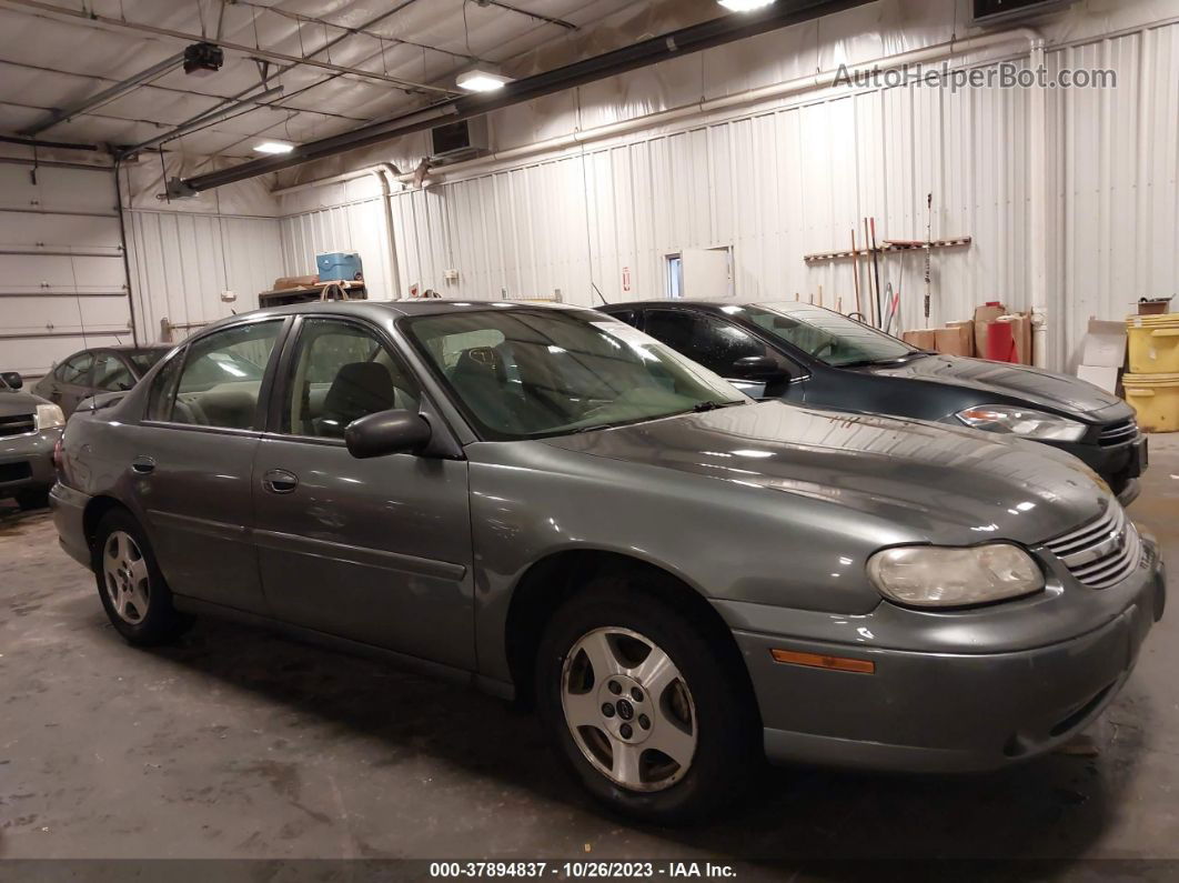 2005 Chevrolet Classic   Gray vin: 1G1ND52F55M222812