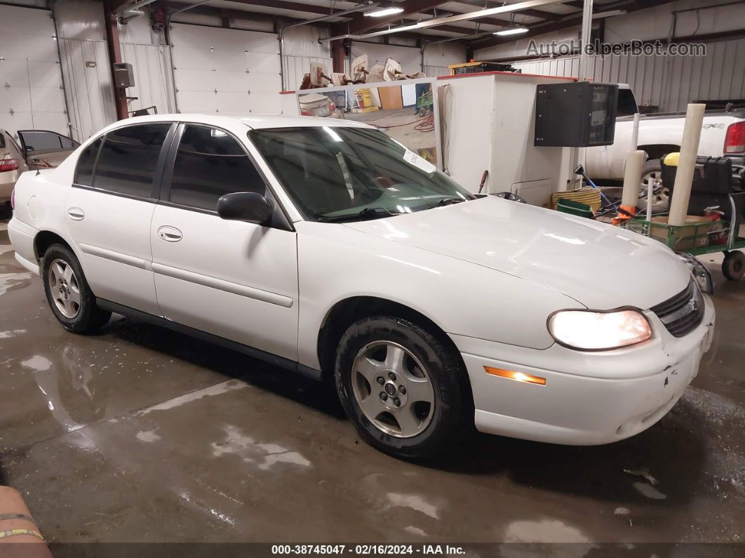 2005 Chevrolet Classic   White vin: 1G1ND52F55M223717