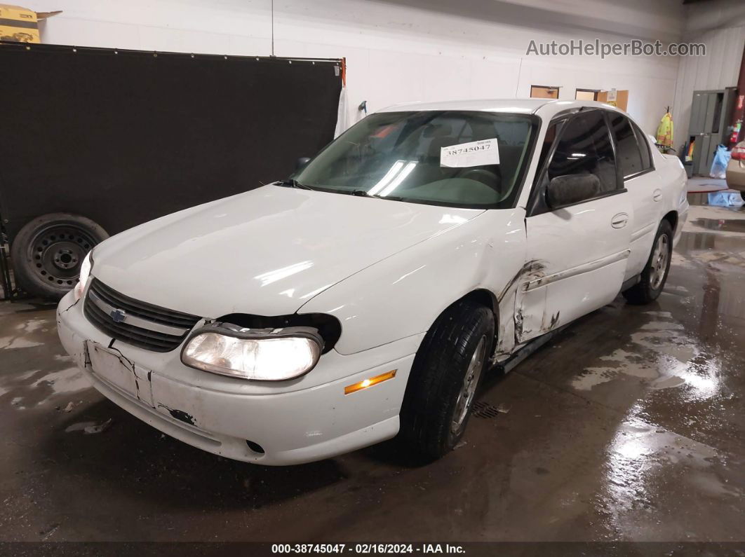 2005 Chevrolet Classic   White vin: 1G1ND52F55M223717