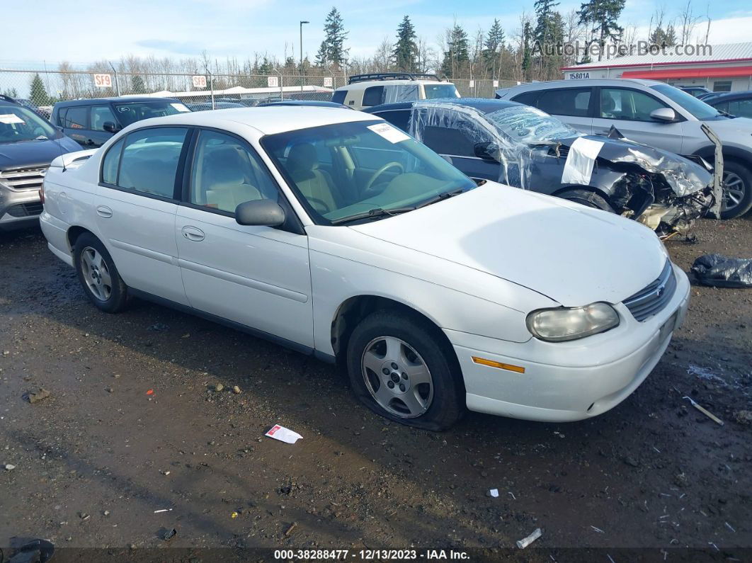 2005 Chevrolet Classic   White vin: 1G1ND52F65M177167