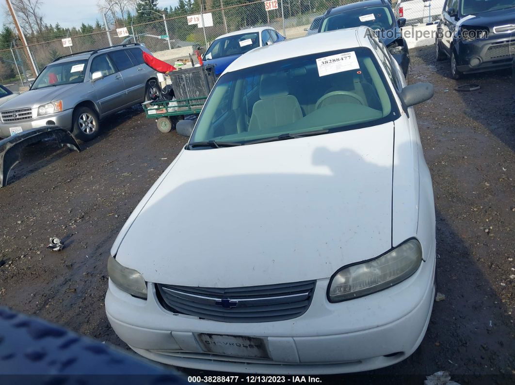 2005 Chevrolet Classic   White vin: 1G1ND52F65M177167