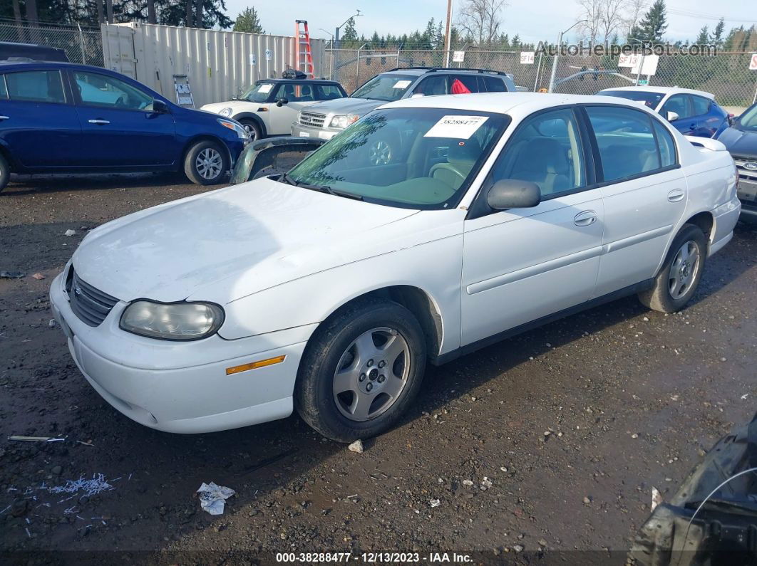 2005 Chevrolet Classic   White vin: 1G1ND52F65M177167