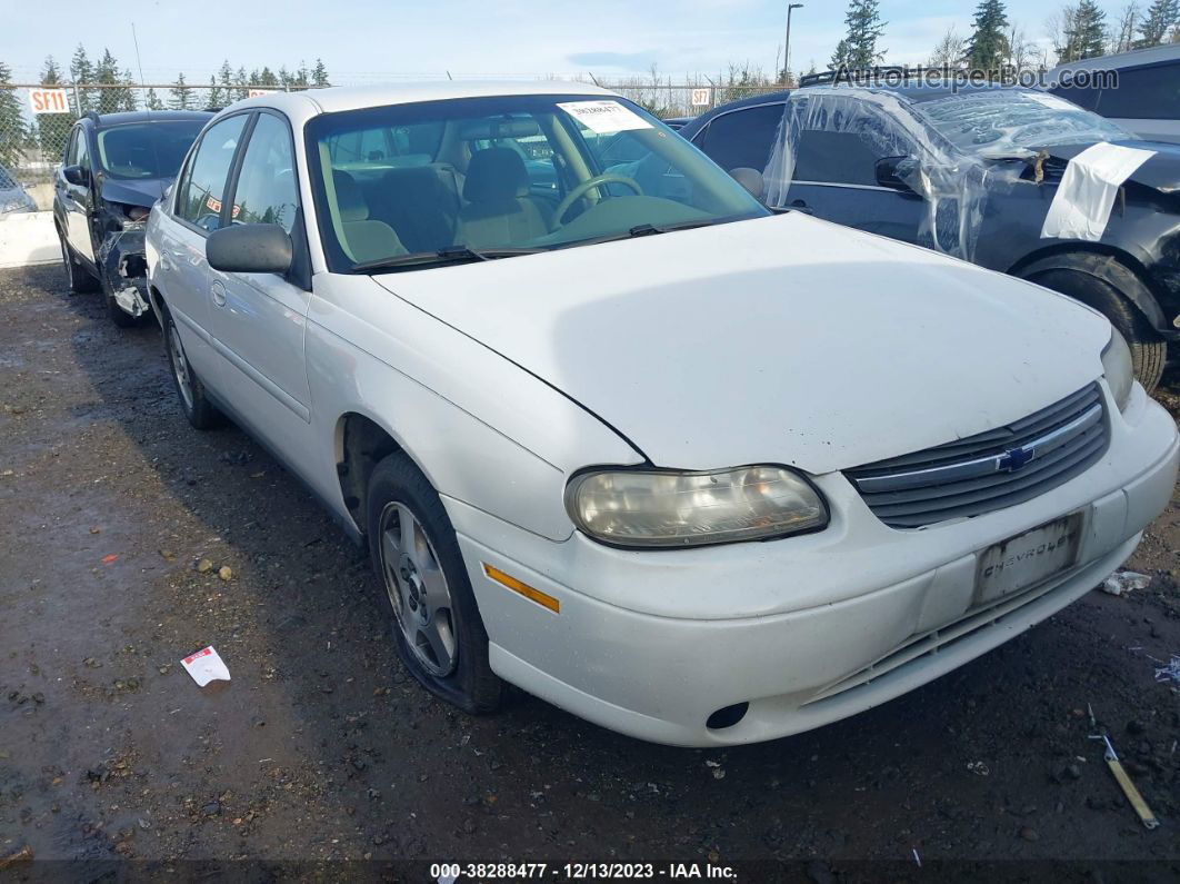 2005 Chevrolet Classic   White vin: 1G1ND52F65M177167