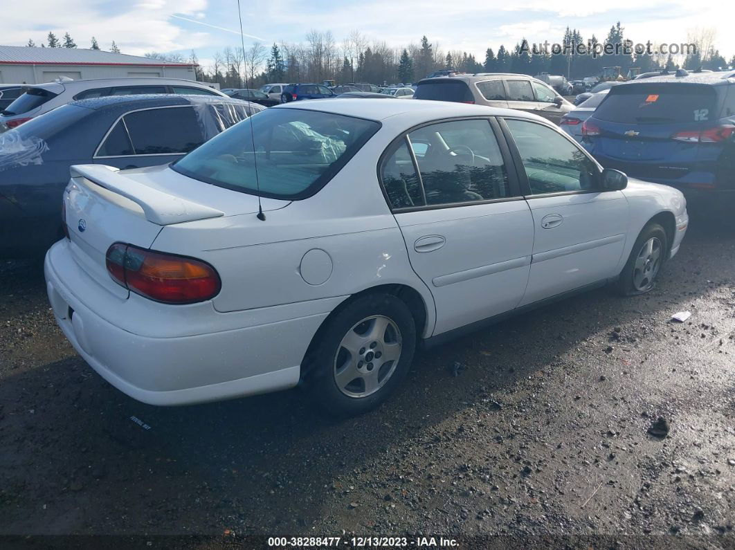 2005 Chevrolet Classic   White vin: 1G1ND52F65M177167