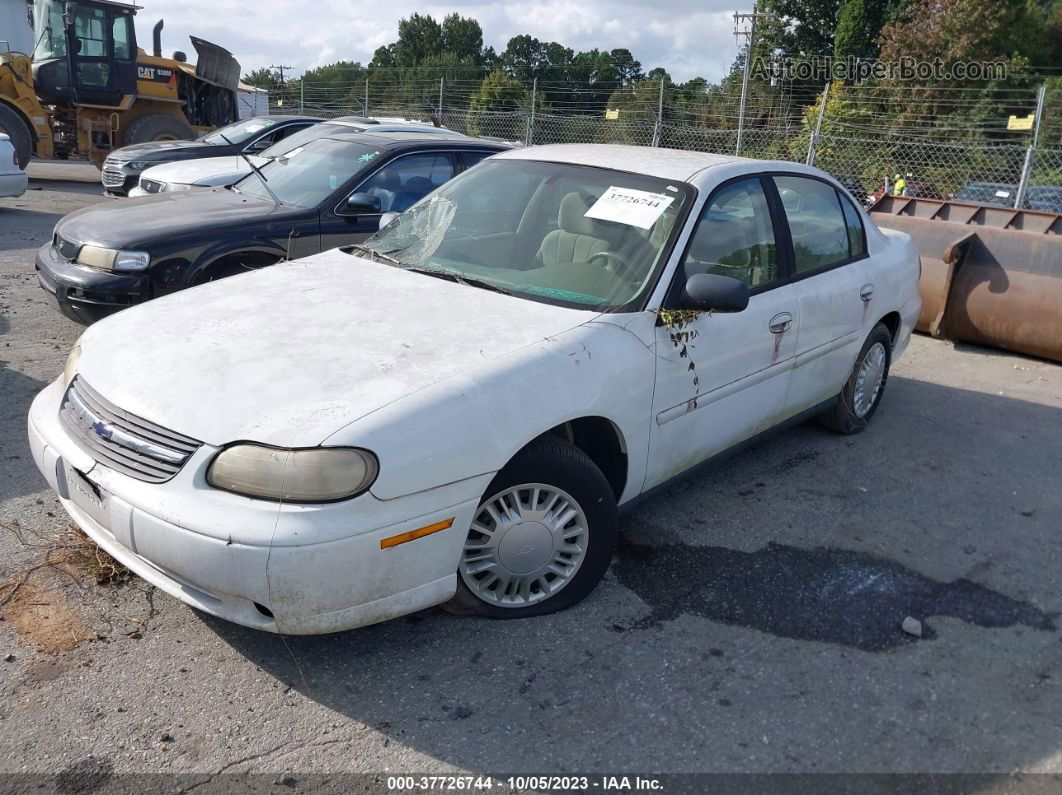 2005 Chevrolet Classic   White vin: 1G1ND52F65M193868