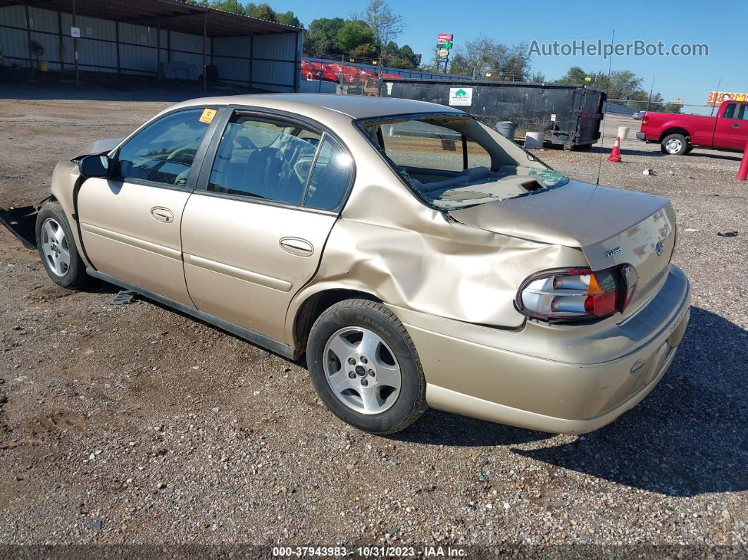 2005 Chevrolet Classic Beige vin: 1G1ND52F65M243409