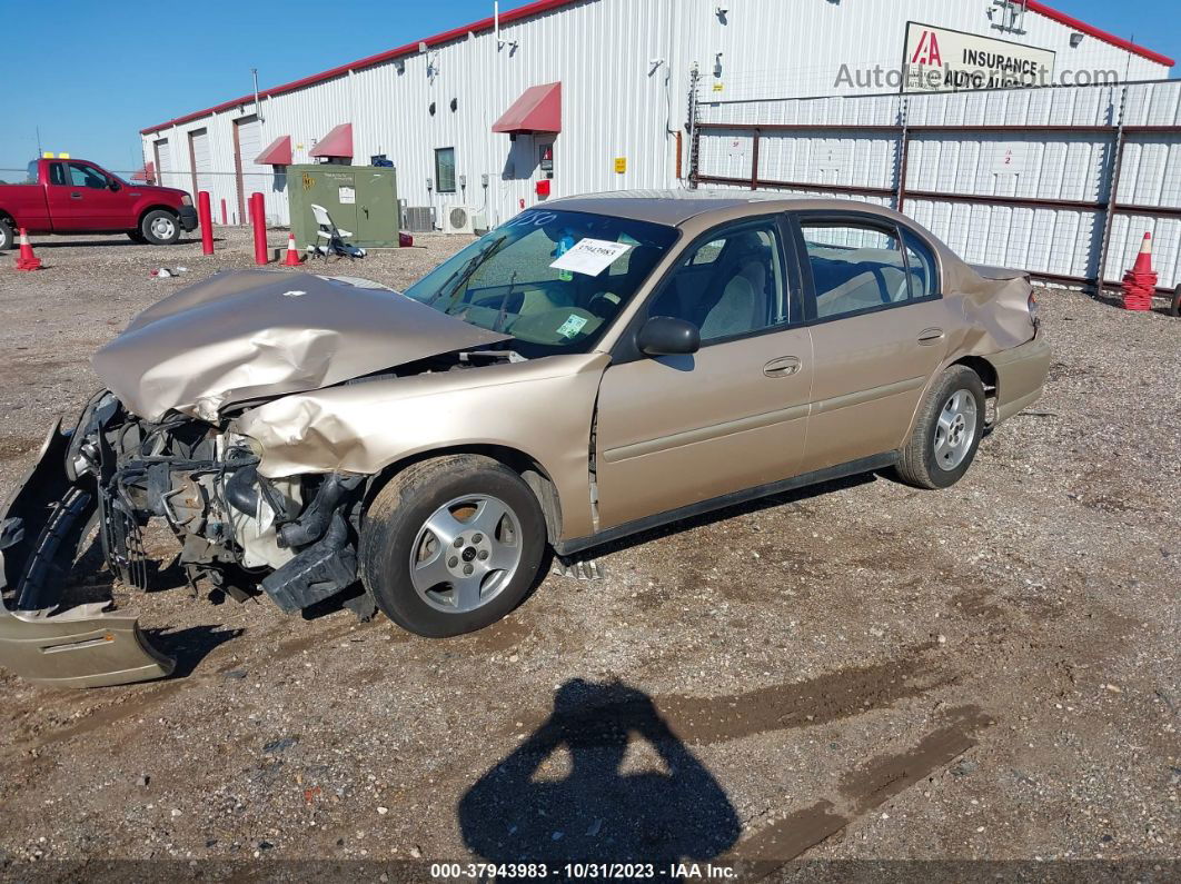 2005 Chevrolet Classic Beige vin: 1G1ND52F65M243409