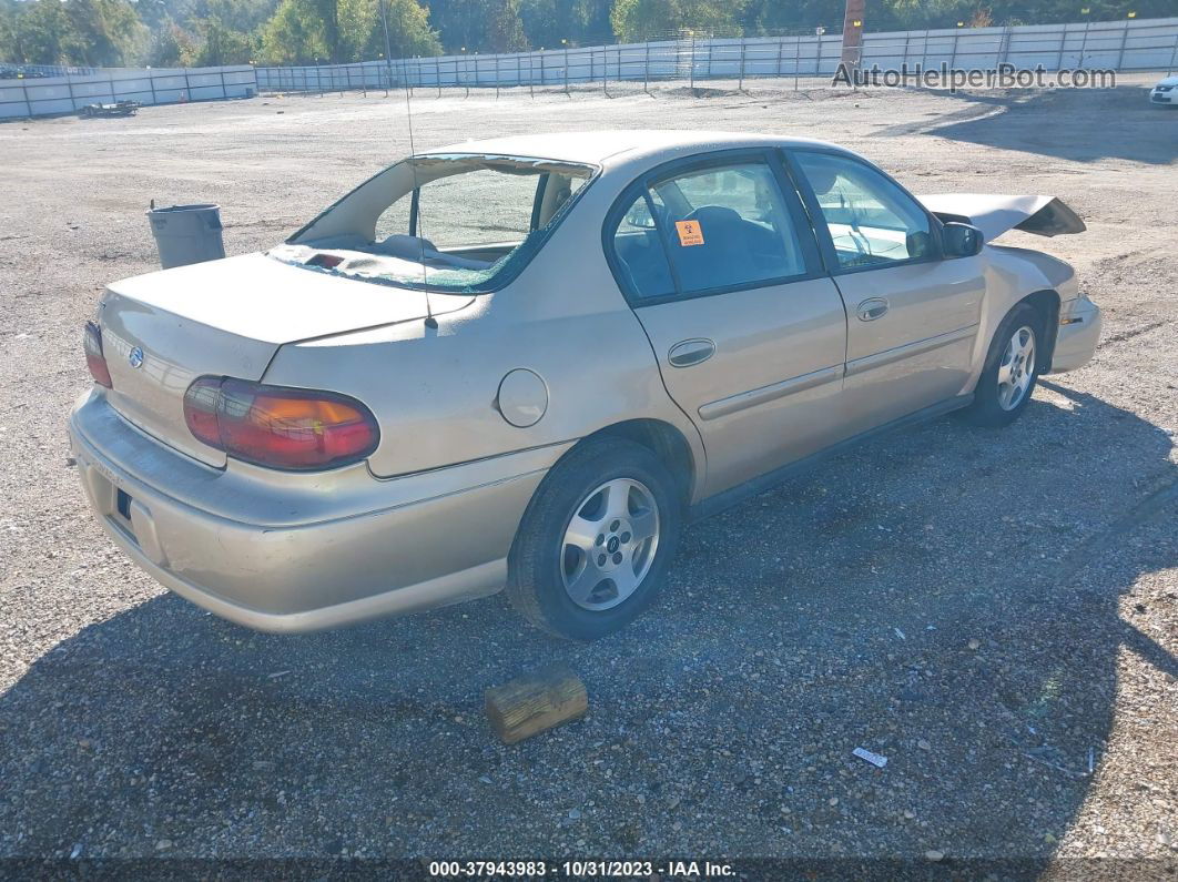 2005 Chevrolet Classic Beige vin: 1G1ND52F65M243409