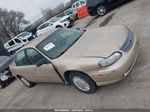 2005 Chevrolet Classic   Gold vin: 1G1ND52F75M111548