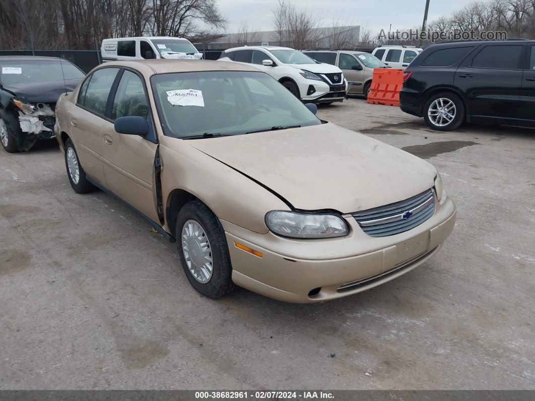 2005 Chevrolet Classic   Gold vin: 1G1ND52F75M111548