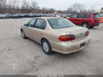 2005 Chevrolet Classic   Gold vin: 1G1ND52F75M111548