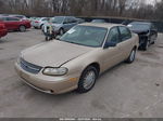 2005 Chevrolet Classic   Gold vin: 1G1ND52F75M111548