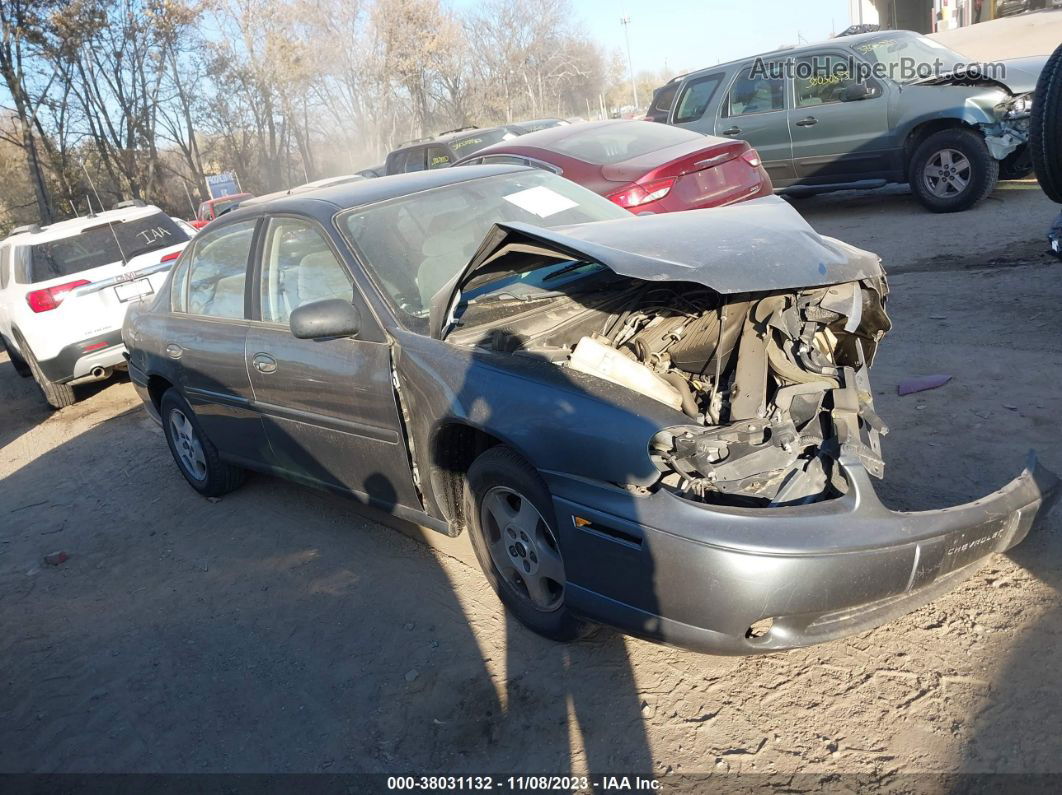 2005 Chevrolet Classic Gray vin: 1G1ND52F75M161611