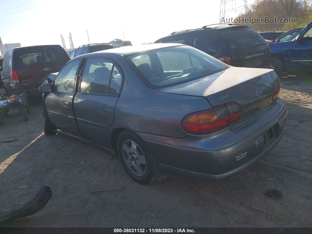 2005 Chevrolet Classic Gray vin: 1G1ND52F75M161611