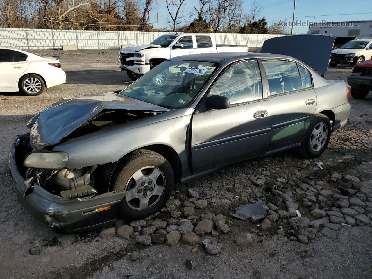 2005 Chevrolet Classic  Gray vin: 1G1ND52F75M208037