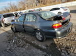 2005 Chevrolet Classic  Gray vin: 1G1ND52F75M208037