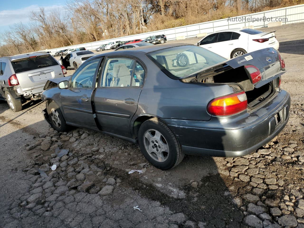 2005 Chevrolet Classic  Gray vin: 1G1ND52F75M208037