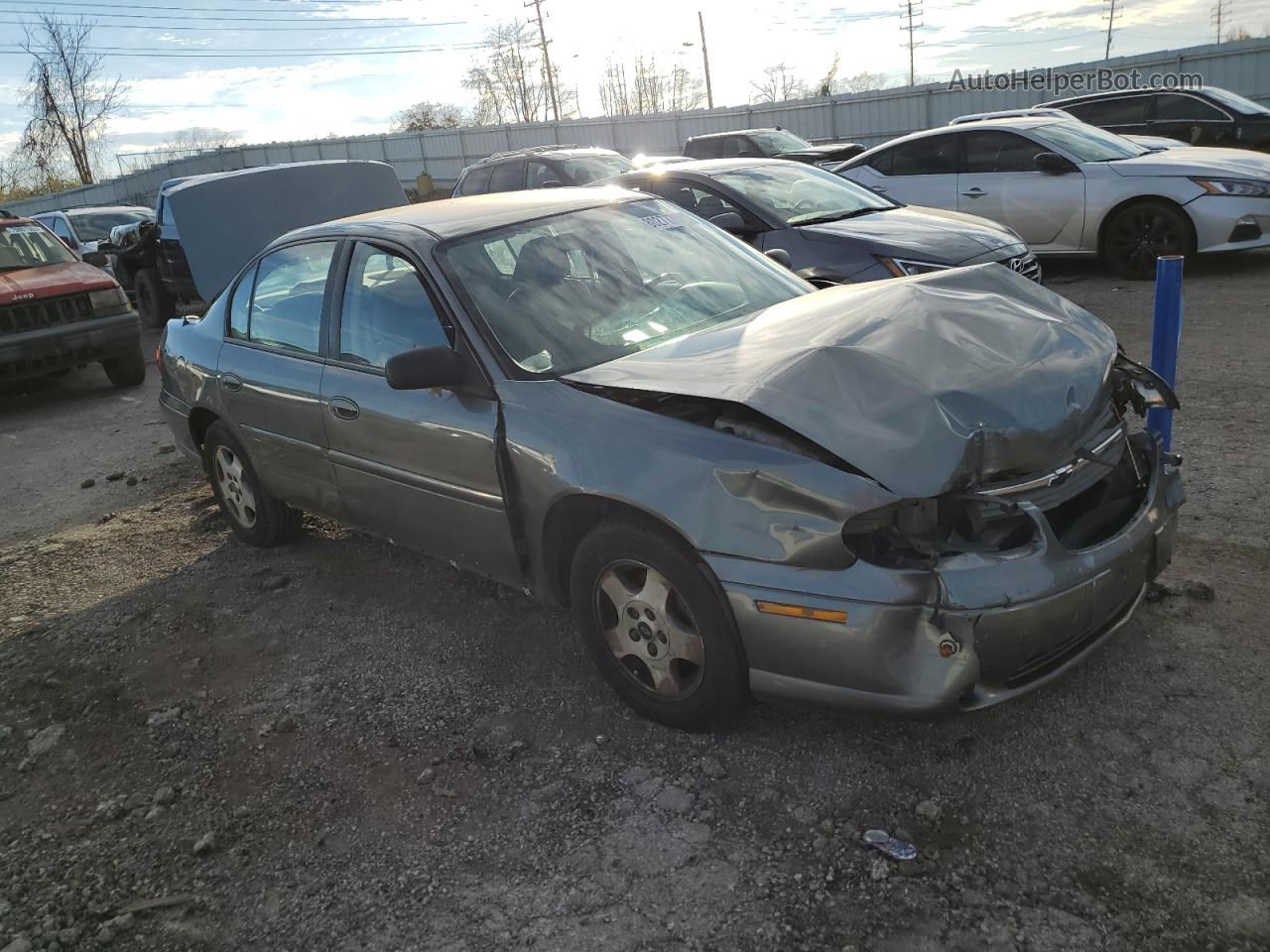 2005 Chevrolet Classic  Gray vin: 1G1ND52F75M208037