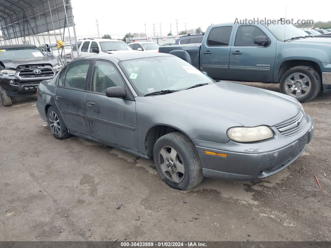 2005 Chevrolet Classic   Gray vin: 1G1ND52F75M228935