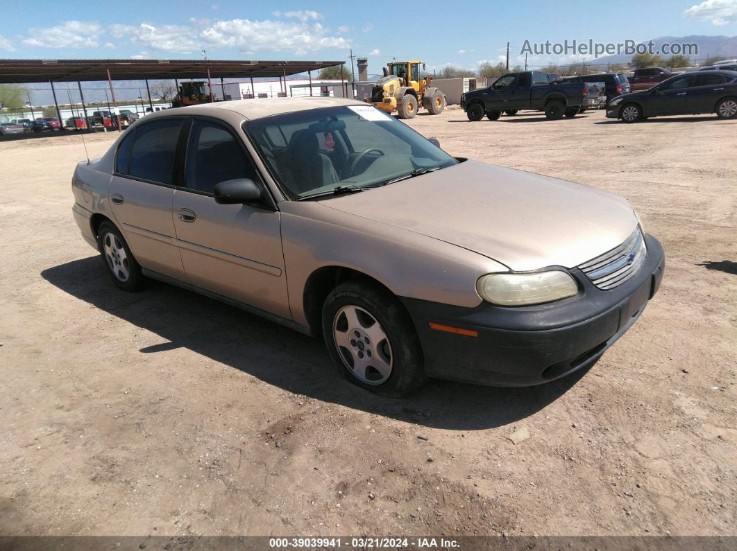 2005 Chevrolet Classic   Gold vin: 1G1ND52F85M133381