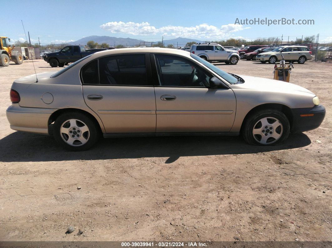 2005 Chevrolet Classic   Золотой vin: 1G1ND52F85M133381