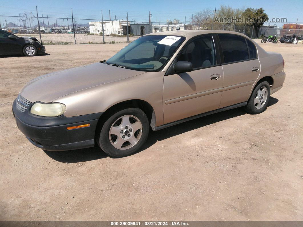 2005 Chevrolet Classic   Gold vin: 1G1ND52F85M133381