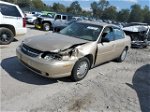 2005 Chevrolet Classic  Gold vin: 1G1ND52F85M136572