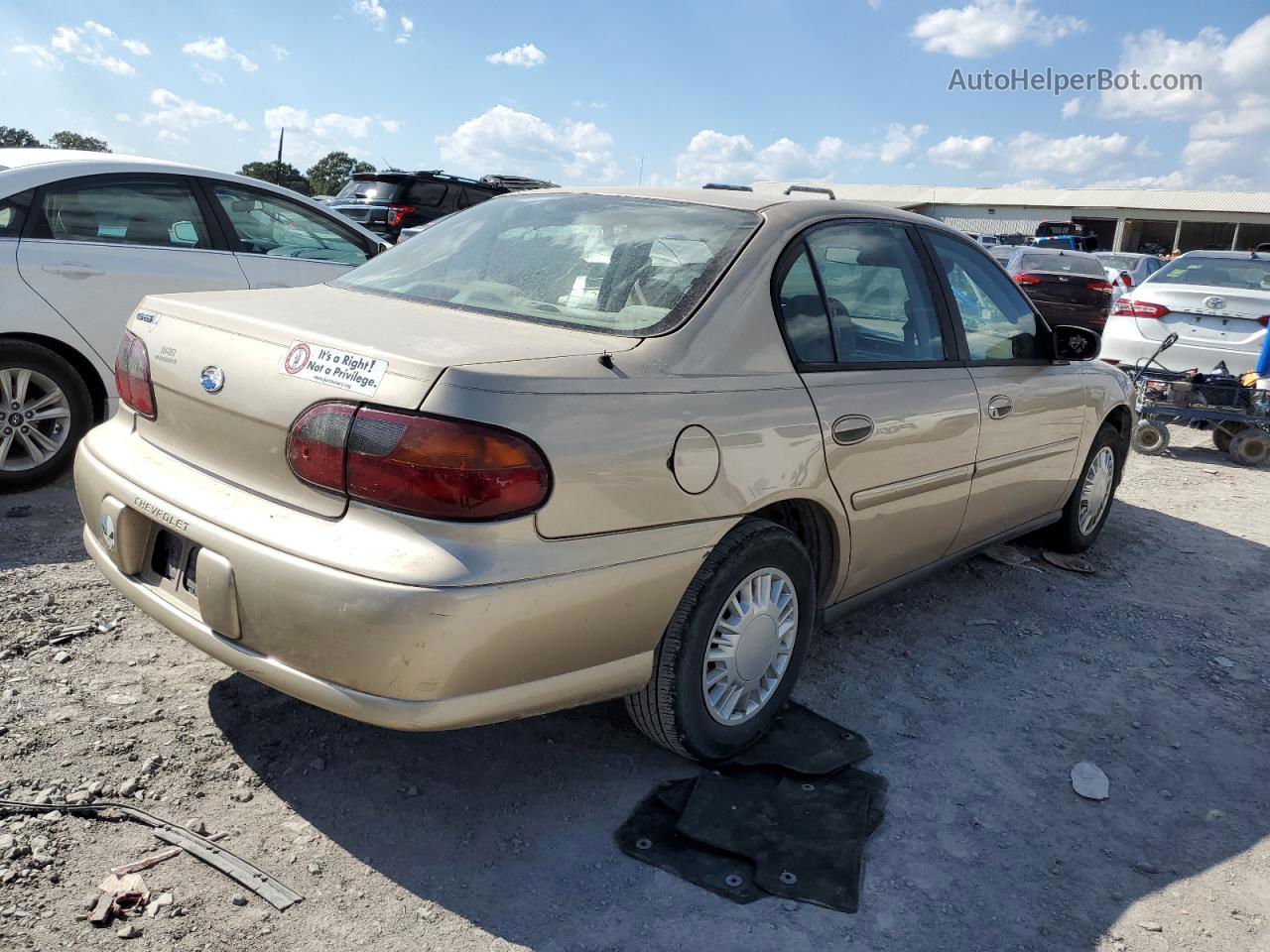 2005 Chevrolet Classic  Gold vin: 1G1ND52F85M136572