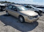 2005 Chevrolet Classic  Gold vin: 1G1ND52F85M136572