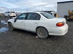 2005 Chevrolet Classic  White vin: 1G1ND52F85M237336