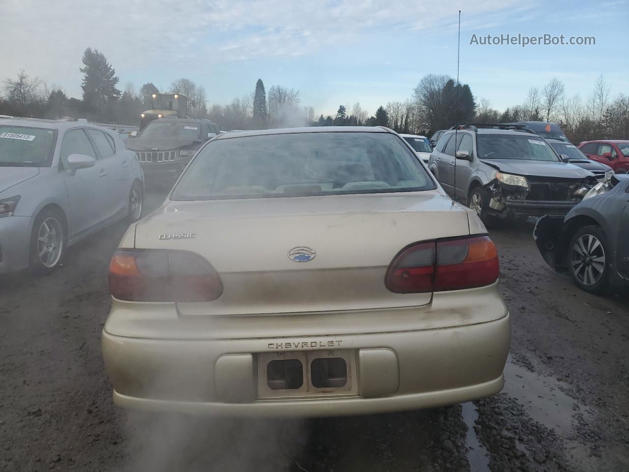 2005 Chevrolet Classic  Beige vin: 1G1ND52F85M253813