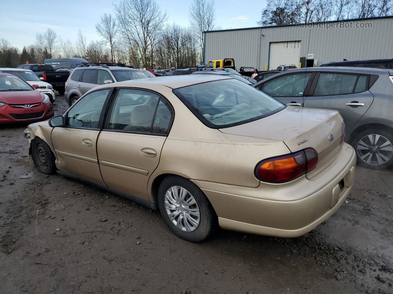 2005 Chevrolet Classic  Beige vin: 1G1ND52F85M253813