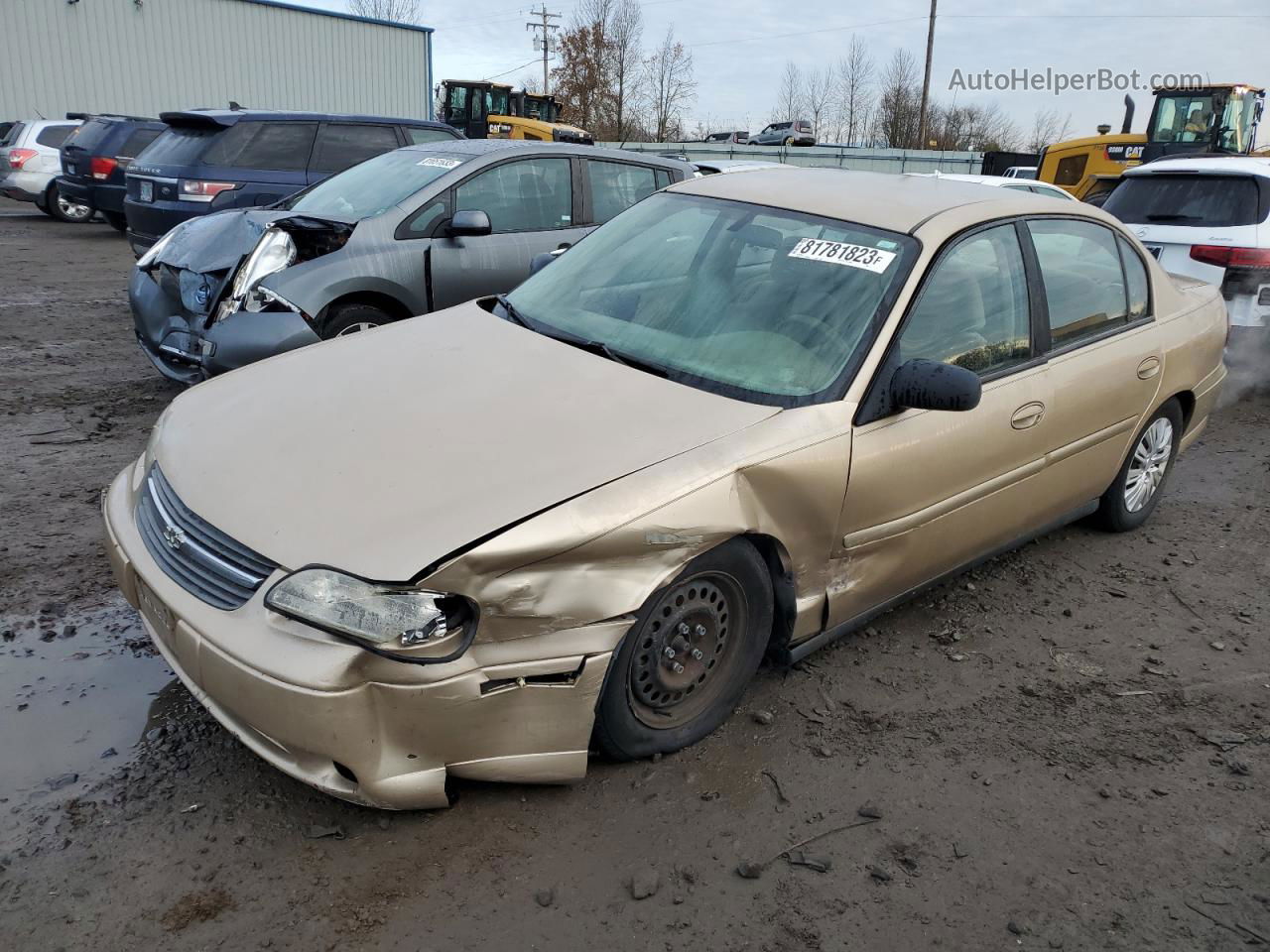 2005 Chevrolet Classic  Beige vin: 1G1ND52F85M253813