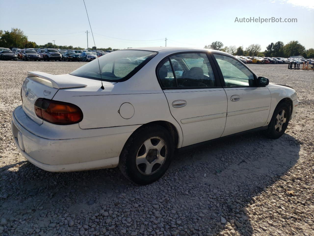 2005 Chevrolet Classic  White vin: 1G1ND52F95M112880