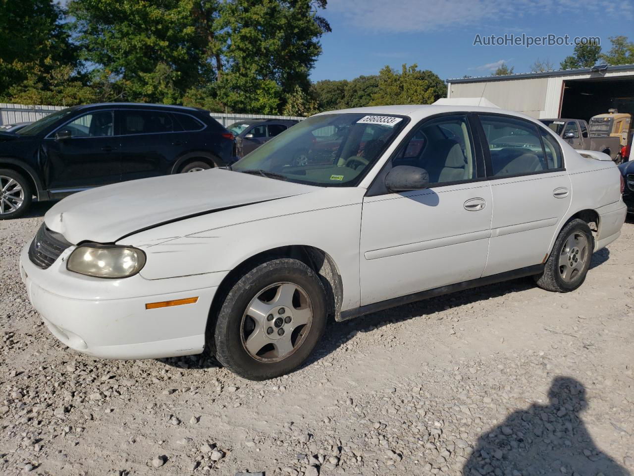 2005 Chevrolet Classic  White vin: 1G1ND52F95M112880