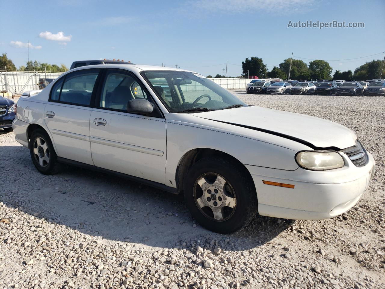 2005 Chevrolet Classic  White vin: 1G1ND52F95M112880