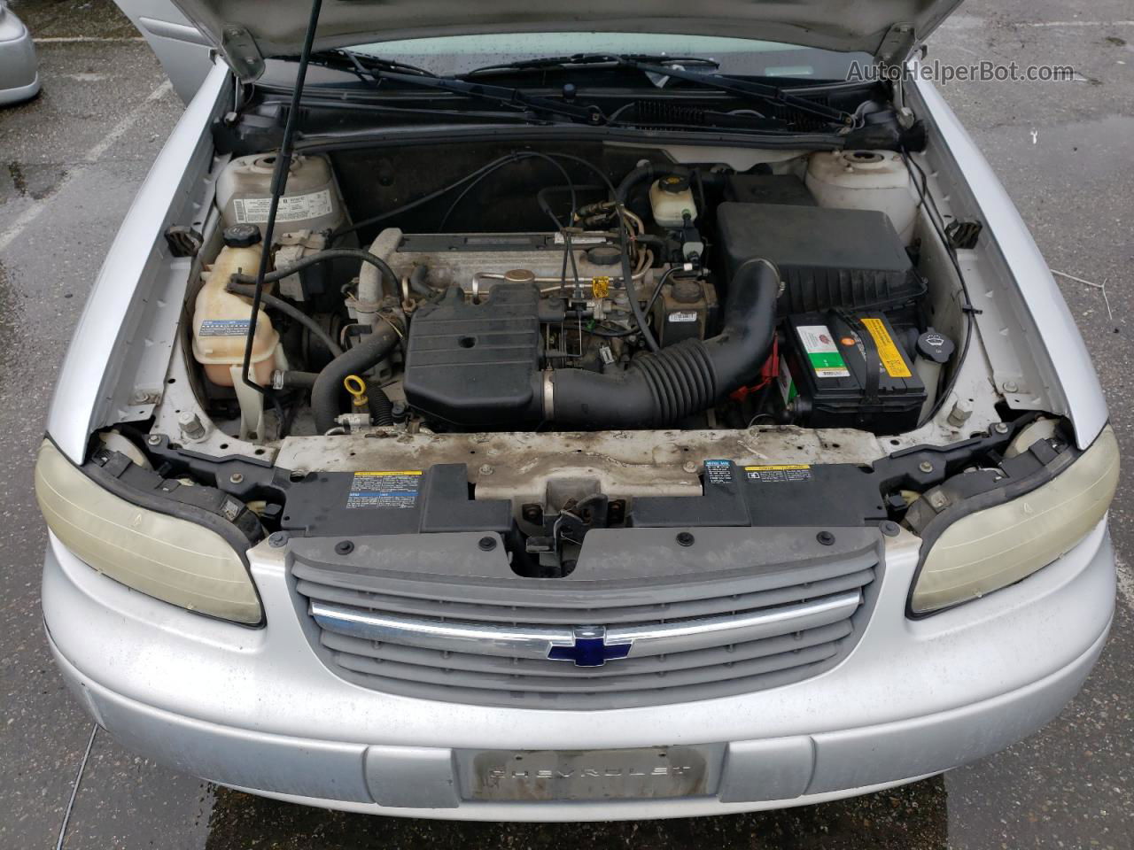 2005 Chevrolet Classic  Silver vin: 1G1ND52F95M135088