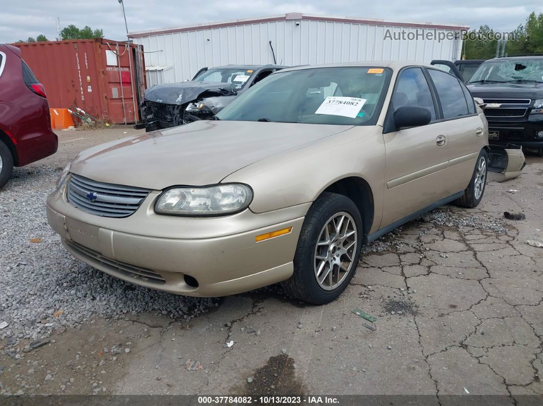 2005 Chevrolet Classic Gold vin: 1G1ND52F95M159665