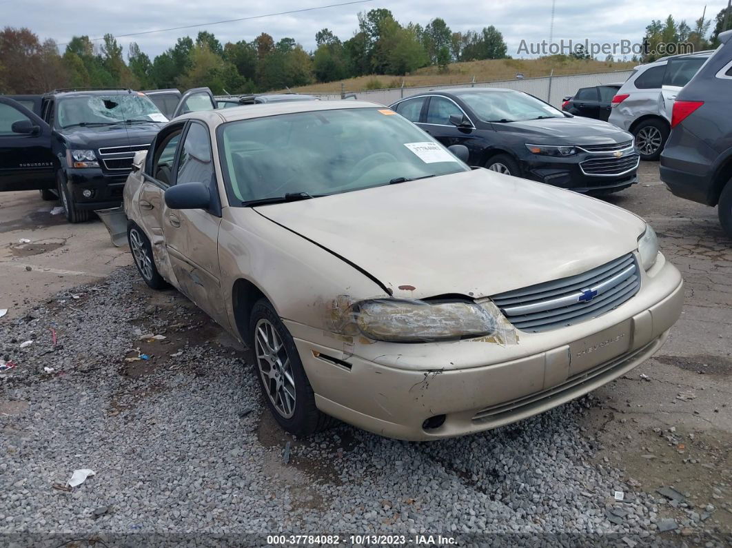 2005 Chevrolet Classic Gold vin: 1G1ND52F95M159665