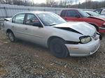 2005 Chevrolet Classic  Silver vin: 1G1ND52F95M159780