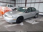 2005 Chevrolet Classic   Silver vin: 1G1ND52F95M184131