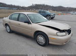 2005 Chevrolet Classic   Gold vin: 1G1ND52FX5M125511