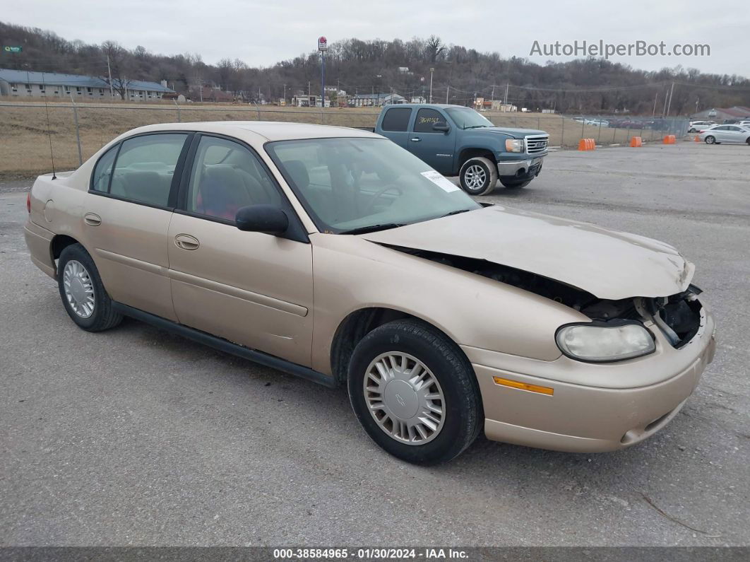 2005 Chevrolet Classic   Gold vin: 1G1ND52FX5M125511