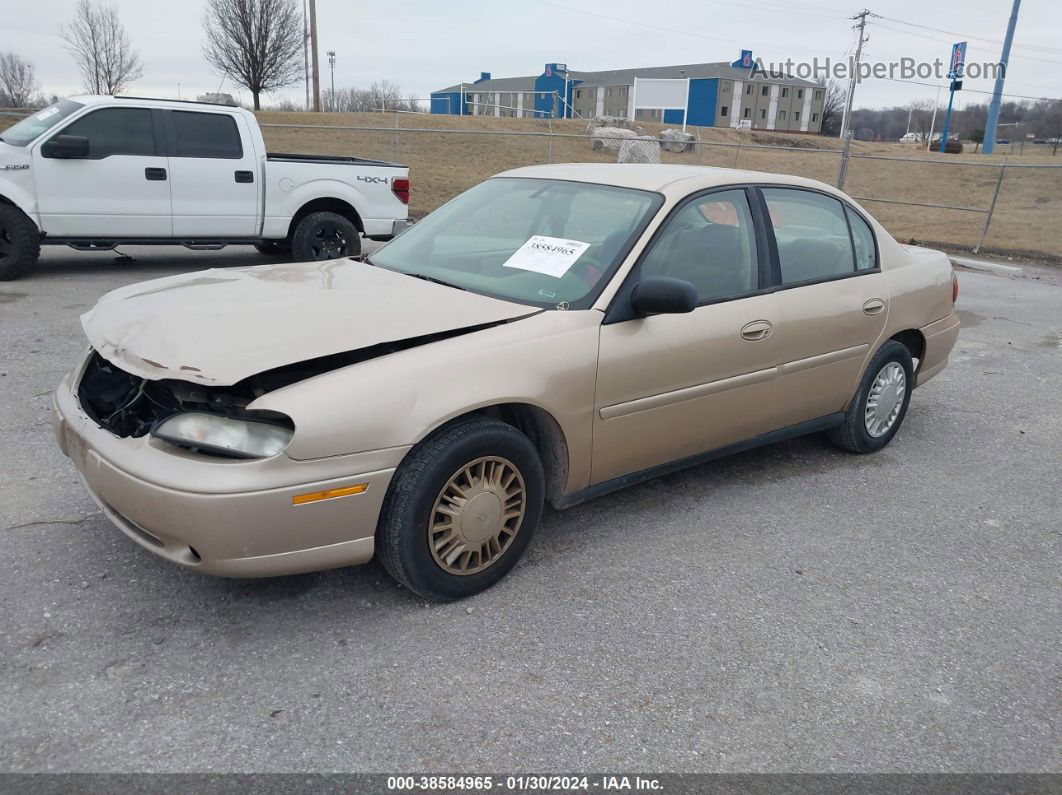 2005 Chevrolet Classic   Gold vin: 1G1ND52FX5M125511