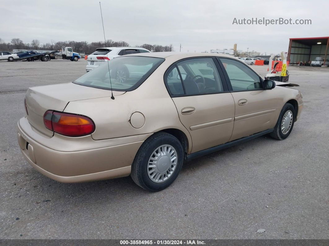 2005 Chevrolet Classic   Gold vin: 1G1ND52FX5M125511