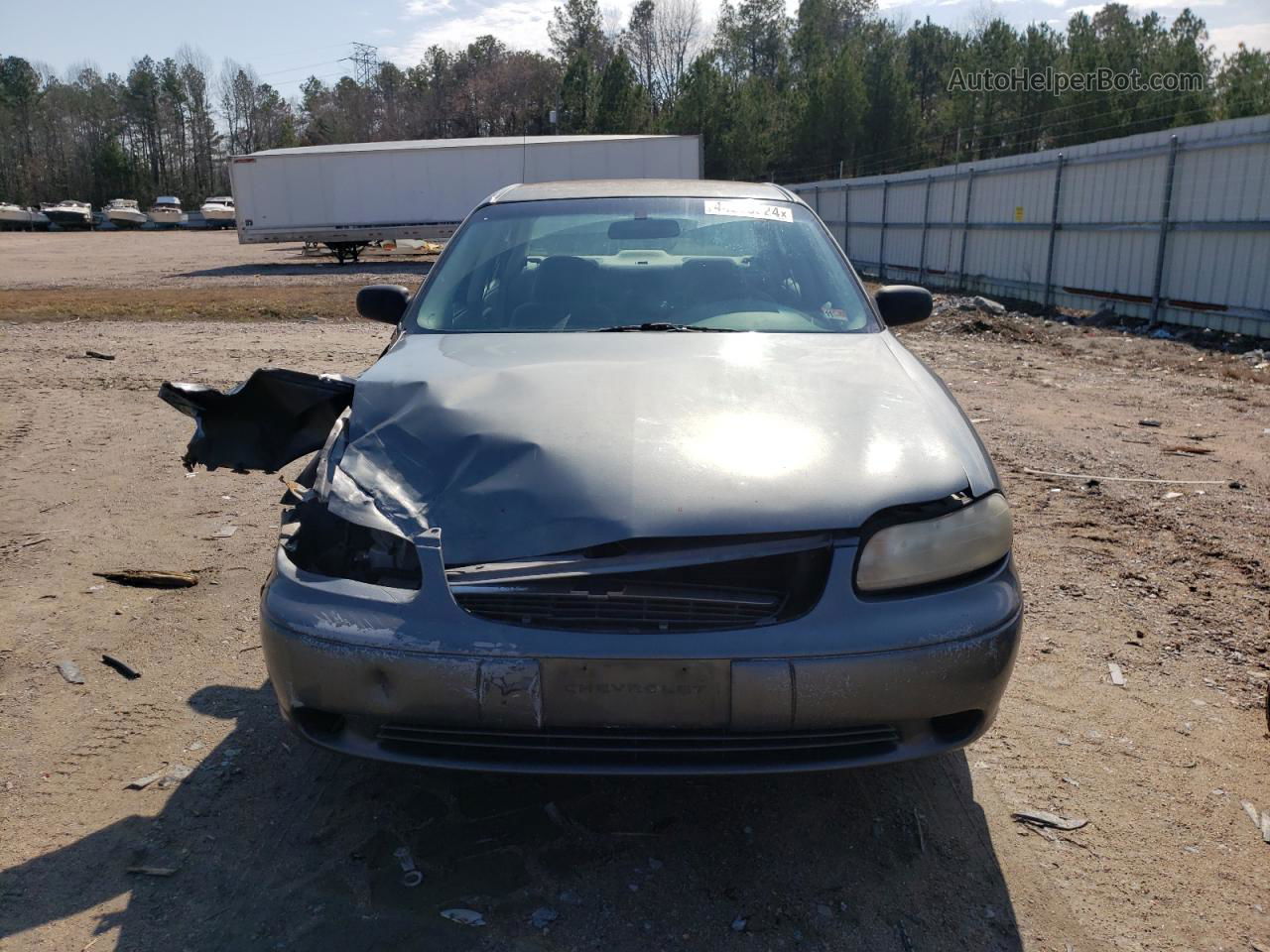 2005 Chevrolet Classic  Gray vin: 1G1ND52FX5M194487