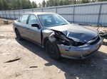 2005 Chevrolet Classic  Серый vin: 1G1ND52FX5M194487