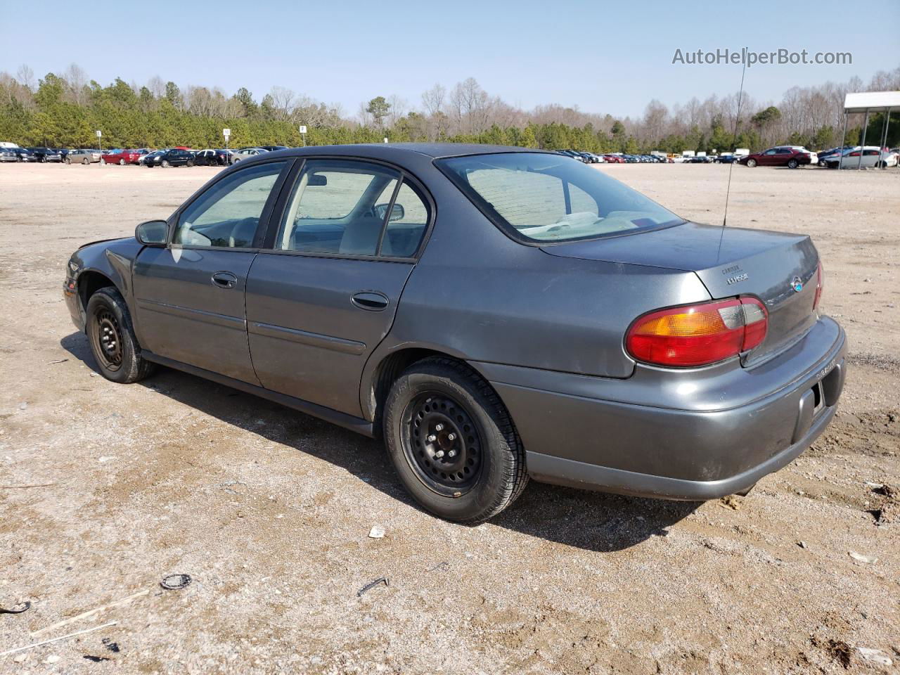 2005 Chevrolet Classic  Gray vin: 1G1ND52FX5M194487