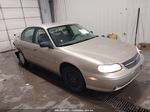 2005 Chevrolet Classic Tan vin: 1G1ND52FX5M199771